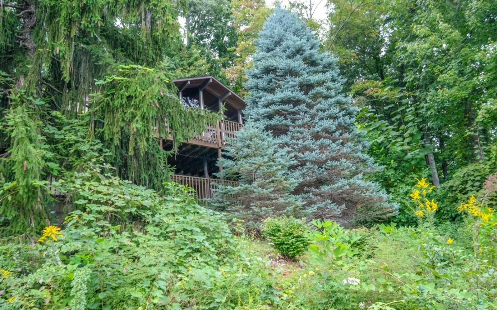 Vila Three Pines 2139 Gatlinburg Exteriér fotografie